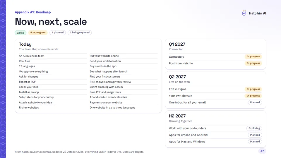 Slide 26 di 30: Appendice A7: ora, poi, su scala