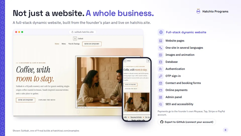 Slide 6 di 18: The website